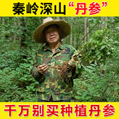 深山丹参片500g正品 官方旗舰店非特级柴葛根川芎山楂黄芪三七泡水