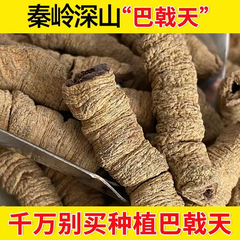 深山巴戟天正品无硫500g包邮搭淫羊藿菟丝子覆盆子肉苁蓉泡水泡酒