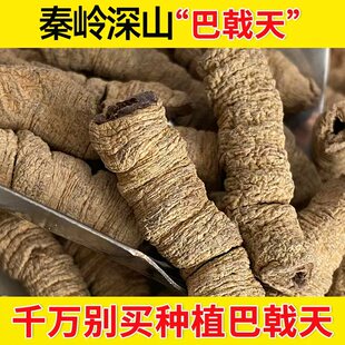 深山巴戟天正品无硫500g包邮搭淫羊藿菟丝子覆盆子肉苁蓉泡水泡酒