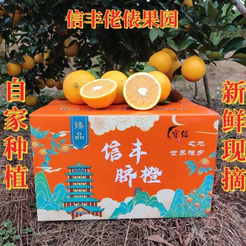正宗江西赣南信丰脐橙新鲜橙子10斤当季孕妇水果产地果园直发包邮,水产肉类/新鲜蔬果/熟食,橙,淘宝优惠券,粉丝福利购,淘宝优惠卷