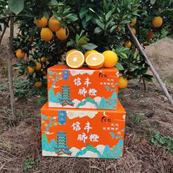 正宗赣南信丰脐橙 果农产地直发未受冻害 10斤手剥橙甜橙整箱包邮