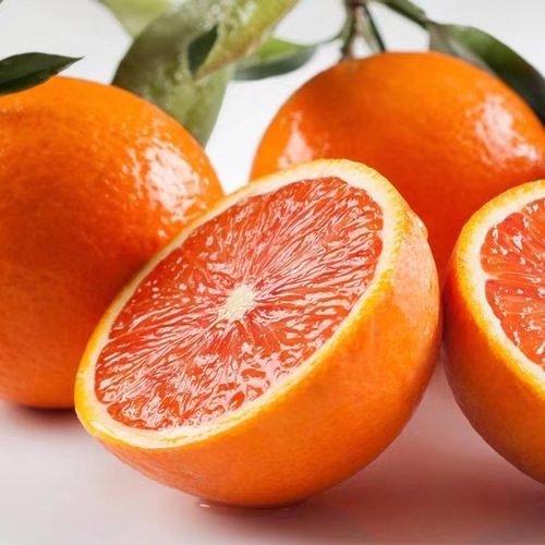 正宗江西赣南信丰脐橙子10斤装橙