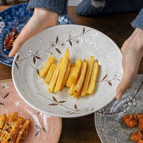 MinoYaki早春20/23cm陶瓷菜盘子