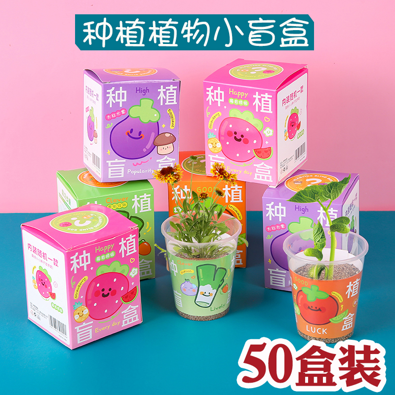 盲盒种植小盆栽幼儿园观察植物小学生创意奖品地推活动儿童小礼物