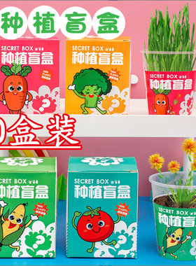 小学生奖品植物盆栽创意实用5元以内礼品送儿童生日全班分享礼物