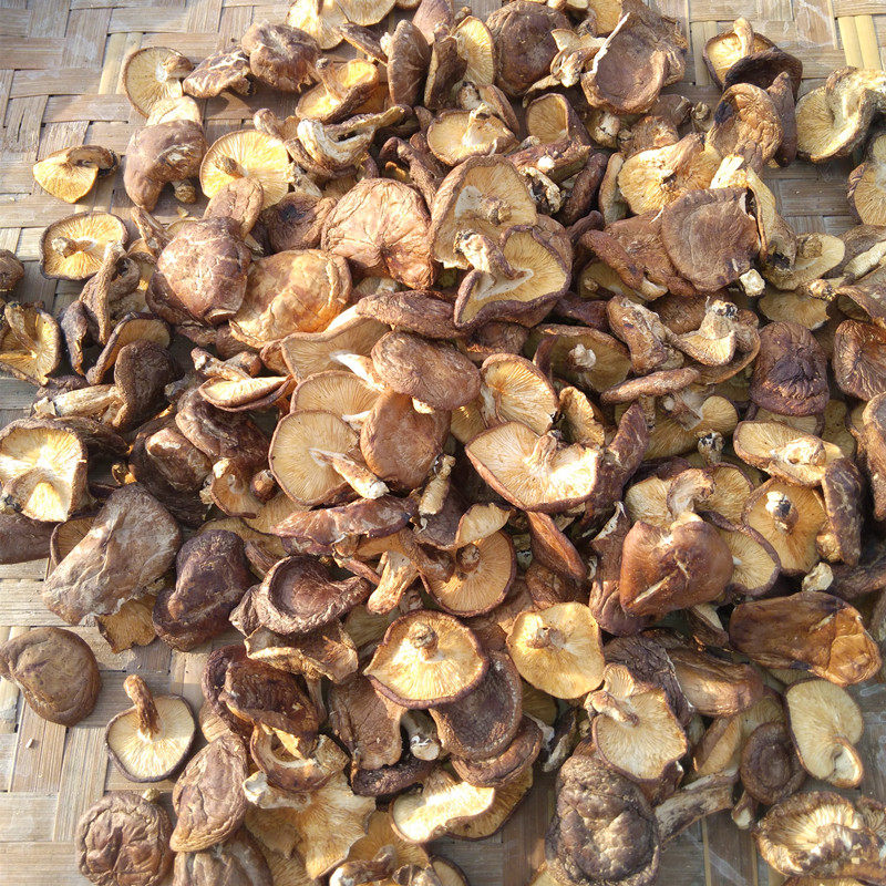 广西土特产香菇250g香菇干货大苗山香菇香菌野生品种农家香菇干货