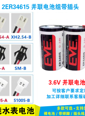 EVE亿纬锂能ER34615-2 3.6V并联锂电池组ER34615+SPC1520锂D型1号