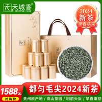 贵州茶叶都匀毛尖2024新茶明前特级春茶浓香型绿茶小罐礼盒装270g