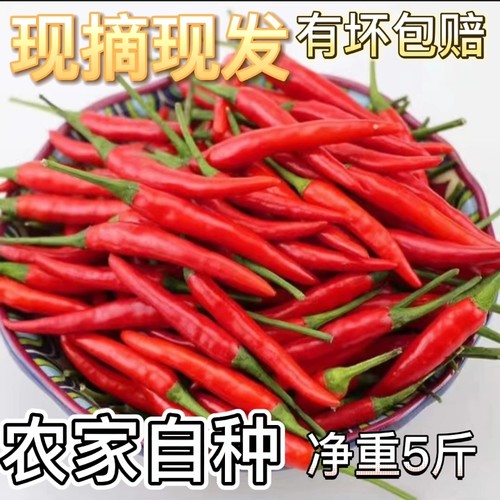 农家现摘新鲜5斤小米椒特辣红色辣椒朝天椒指天椒剁椒蔬菜椒泡椒