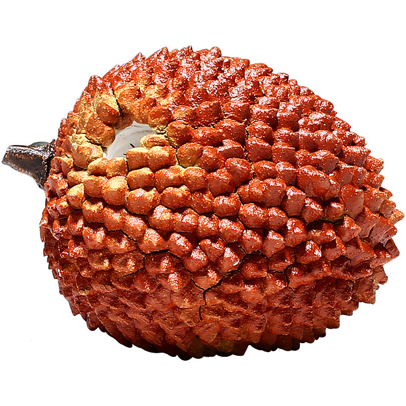 宜兴原矿紫砂纯全手工家用功夫茶摆件妃子笑荔枝蚂蚁茶宠