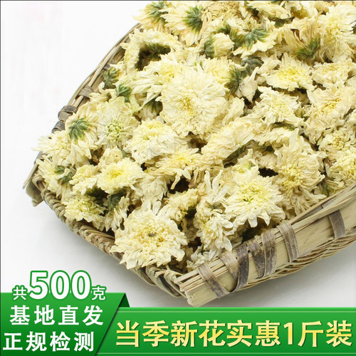 安徽黄山白菊袋装清甜润无硫菊花茶散装白菊花