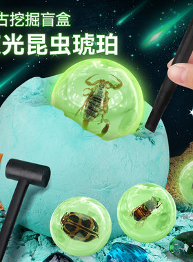 中盛夜光琥珀考古挖掘玩具