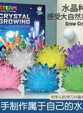 儿童种植水晶生长实验手工木工di