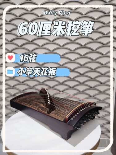 60厘米挖筝专业演奏成人初学者入门级古筝学校标准考级