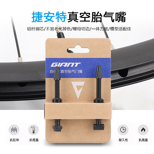 giant捷安特真空胎气嘴铝合金