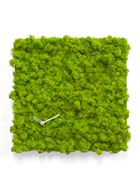 意大利Progetti钟表Clock_Circle苔藓自然座钟家居设计创意进口