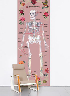 法国Moustache Le squelette humain 骨头名称生物图鉴墙贴墙纸