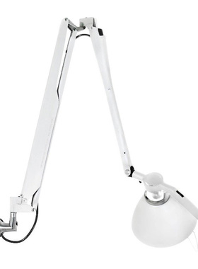 意大利Luceplan 壁灯 Fortebraccio Wall 100W创意设计进口