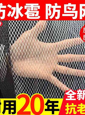 果园农用防雹防鸟网厂家直销