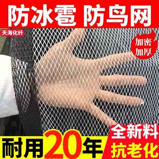 防雹网果园防鸟网农用冰雹防护网果树防冰雹网神器防雹网厂家直销
