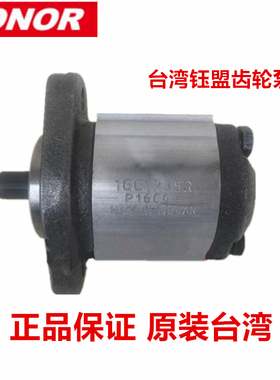 正品1GG1P01/02/03/04/05/06/07/09/11/13R台湾钰盟油泵1AG 1B