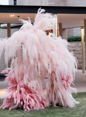 龙须草永生花梦幻草长毛草芦荀草婚庆道具厂家直销龙须草粉色白色