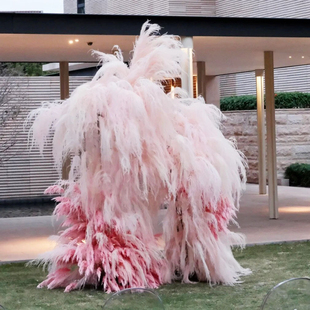 龙须草永生花梦幻草长毛草芦荀草婚庆道具厂家直销龙须草粉色白色