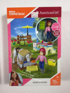 发 American Girl Saiges Picnic Mega Construx 非芭比 配件玩具