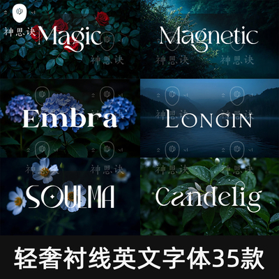 轻奢衬线英文字体35款procreate字库ps西文排版pr设计素材下载