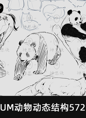 MUM动物动态结构572幅生物肌肉虎狮熊狗设计素材临摹参考