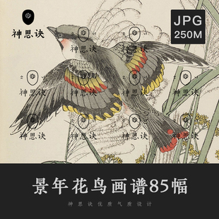 景年花鸟画谱85幅国画工笔设计素材高清摄影素材古风古典临摹图片