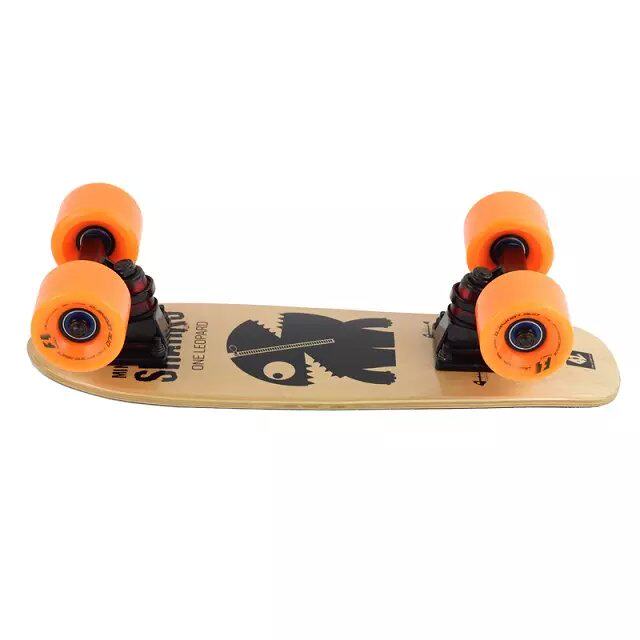 Skateboard pour homme femme enfant - Ref 2595582 Image 3