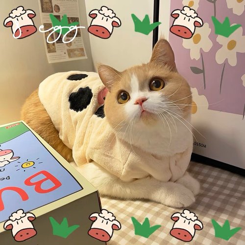 杏仁奶牛～猫咪衣服韩版奶呼呼
