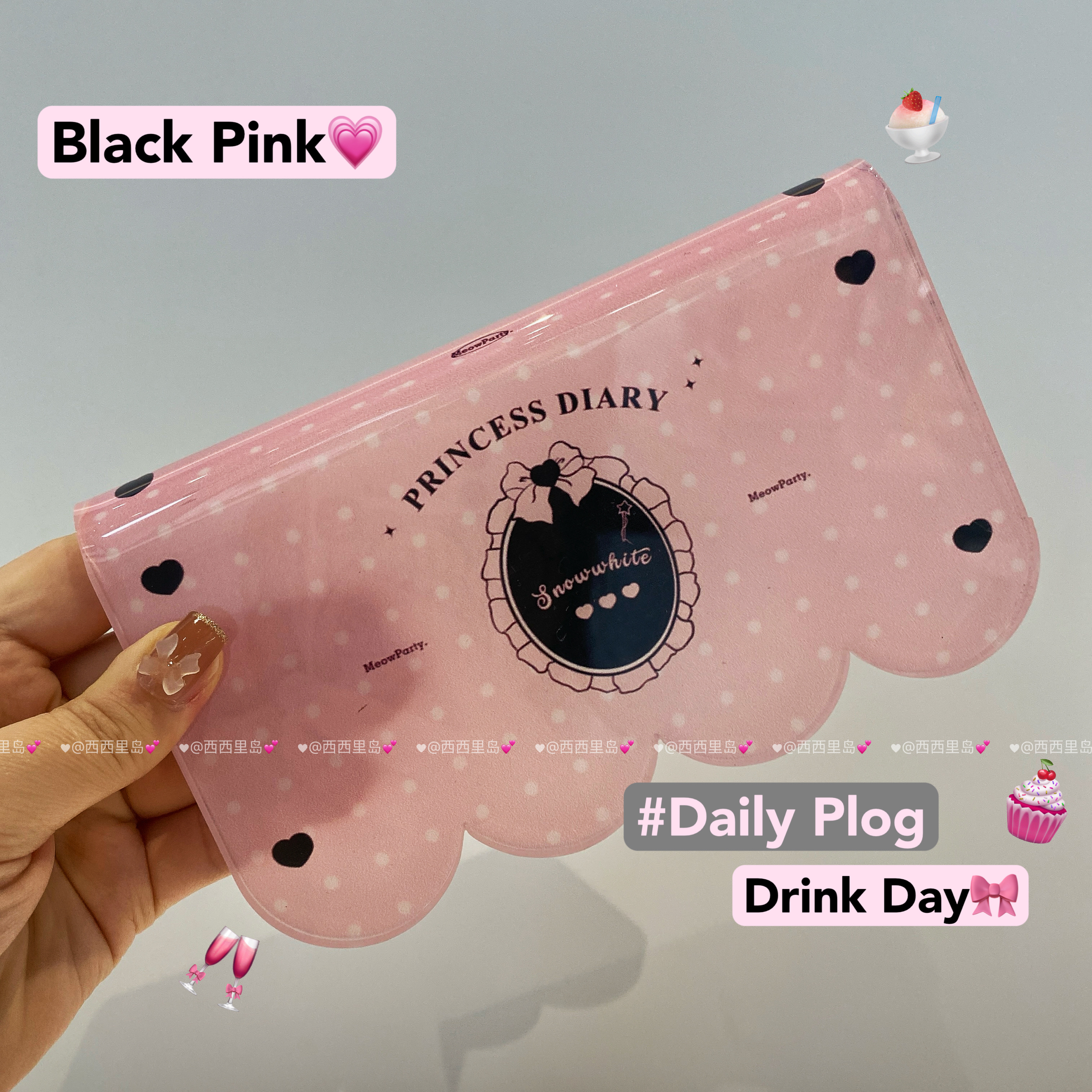 BornPink～春日心动甜酷猫碗架