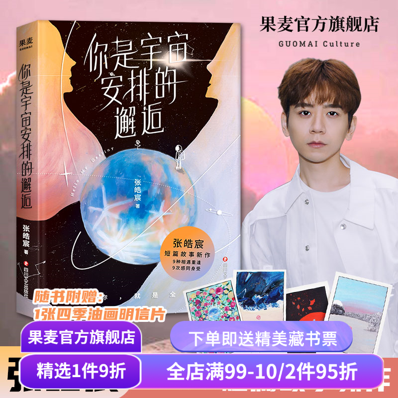 你是宇宙安排的邂逅 张皓宸 短篇故事集 9种相遇重逢 9次感同身受 短篇小说 青春文学 果麦出品
