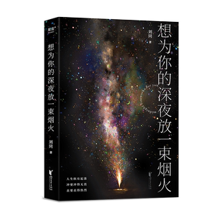 想为你的深夜放一束烟火 刘同 23个暖心故事 青春文学 果麦出品