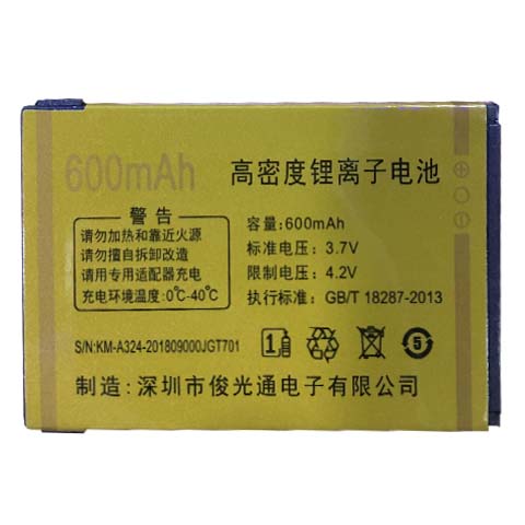 通用GineekG10国产老人电池为伴