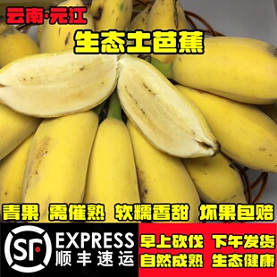 【顺丰快递】云南元江农家自种芭蕉绿色香蕉孕妇小孩新鲜水果包邮