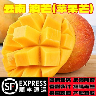 顺丰快递云南元江金芒果澳芒苹果芒凯特芒果应季新鲜水果香甜包邮