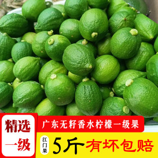 新鲜正宗广东无籽香水柠檬一级果2斤绿青柠檬奶茶店专用江门水果