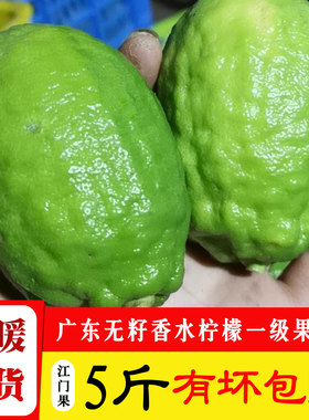 新鲜正宗广东无籽香水柠檬5斤一级果绿青柠檬奶茶店专用江门水果