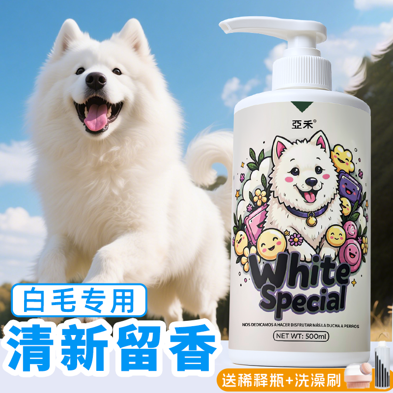 狗狗宠物萨摩耶马尔济斯留香