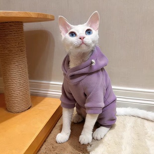 无毛猫衣服2025年新款四脚连帽卫衣厚阿比尼西亚德文幼猫护肚保暖