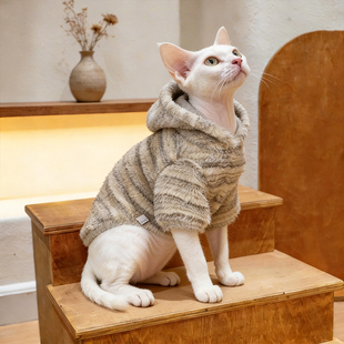 冬装猫衣服德文英伦风复古条纹秋冬通用阿比暹罗猫幼猫毛绒连帽衣