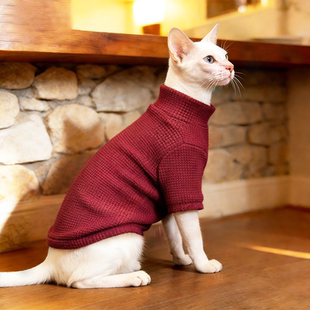德文猫新年衣服高领针织毛衣修身打底加厚保暖阿比无毛猫喜庆冬装