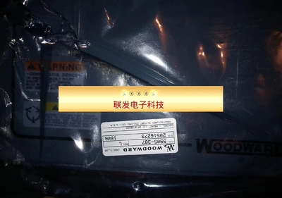 WOODWARD伍德沃德9905-387调速器PROACT SYS.8256-234速度控制器