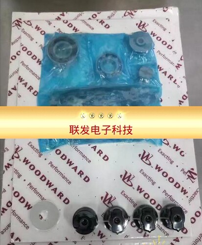 WOODWARD伍德沃德 8934-325 调速器修理包拍前询价
