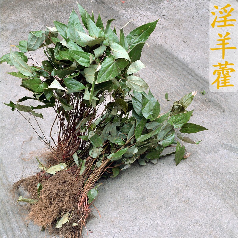 淫羊藿仙灵脾贵州毕节整株散装