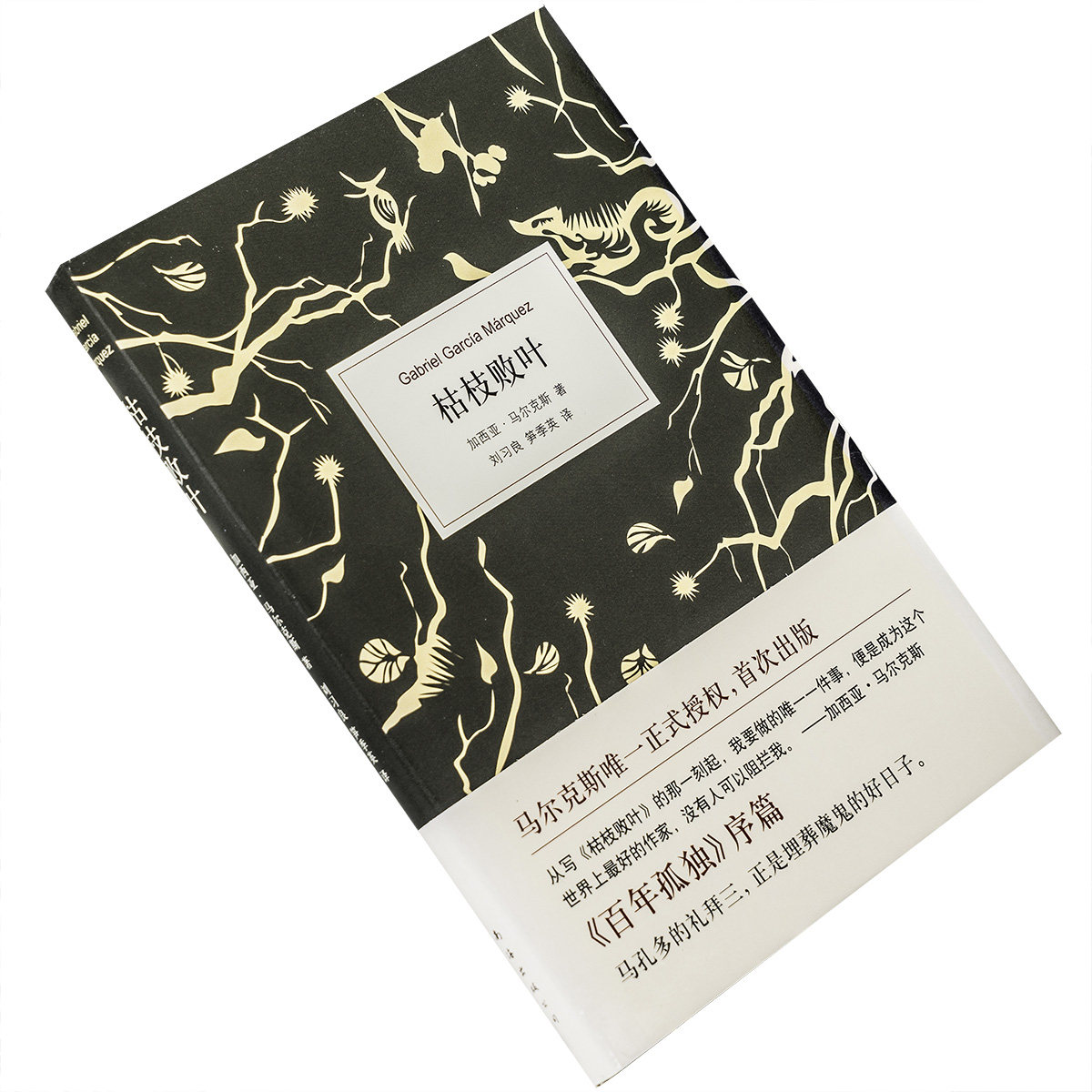 枯枝败叶新经典文库加西亚新经典图片