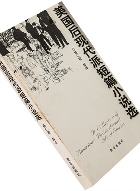 美国后现代派短篇小说选 巴塞尔姆 品钦 库弗 德里罗 杨仁敬 老版